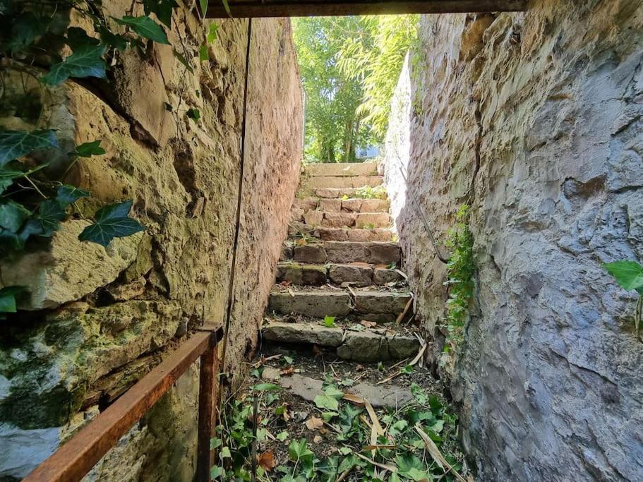 Elegance Provinoise Aux Pieds Des Remparts Classe Provins Extérieur photo
